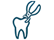 Wisdom Tooth